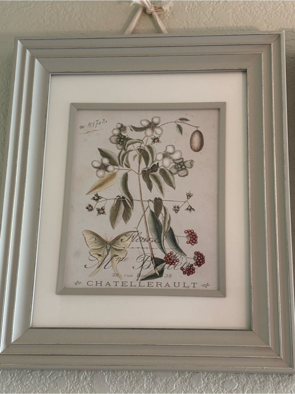 Light DOVE GREY Framed French Botanical Print | Custom Matted | 15”x18”